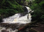 Ricketts Glen
