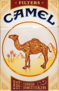 Camel